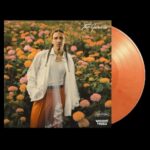 The Garden - Ginton - LP - Brand New Vinyl (Arrives in 21 days)