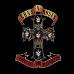Appetite For Destruction - Guns N' Roses - LP - Brand New Vinyl (Arrives in 20days)