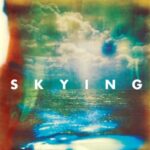 Skying - Horrors - LP - Brand New Vinyl (Arrives in 20days)