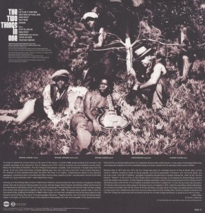 Together Forever - Two Things In One - LP - Brand New Vinyl (Arrives in 20days)