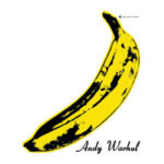 The Velvet Underground & Nico - The Velvet Underground... - LP - Brand New Vinyl (Arrives in 20days)