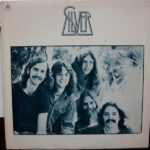 Silver (10) - Silver Vinyl LP Record (Arrives in 21 days)