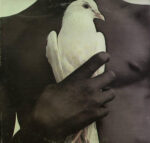 Santana - Santana's Greatest Hits Vinyl LP Record (Arrives in 21 days)