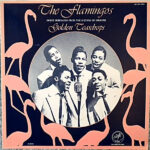 The Flamingos - Golden Teardrops Vinyl LP Record (Arrives in 21 days)