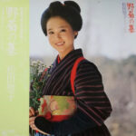 Shunsuke Kikuchi - オリジナル・サウンドトラック 野菊の墓 Vinyl LP Record (Arrives in 21 days)