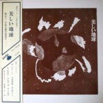 Various - 美しい地球 Vinyl LP Record (Arrives in 21 days)