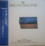 Antonín Dvořák - Symphony No.9 in E Minor, Op.95 "From The New World" Vinyl LP Record (Arrives in 21 days)