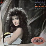 Mari Hamada (2) - In The Precious Age Vinyl LP Record (Arrives in 21 days)