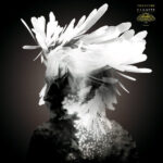 Yoggyone - Canopée Vinyl LP Record (Arrives in 21 days)