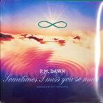 P.M. Dawn - Sometimes I Miss You So Much (Dedicated To The Christ Conciousness) Vinyl LP Record (Arrives in 21 days)