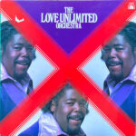 Love Unlimited Orchestra - The Love Unlimited Orchestra Vinyl LP Record (Arrives in 21 days)