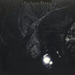Pink Opaque - Cocteau Twins - LP - Brand New Vinyl (Arrives in 20days)