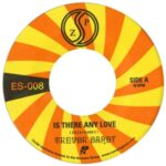 Is There Any Love - Trevor Dandy - LP - Brand New Vinyl (Arrives in 20days)