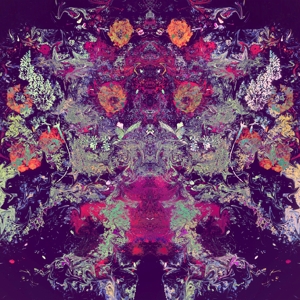 10 000 - Emilie & Ogden - LP - Brand New Vinyl (Arrives in 20days)