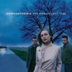 The Magnificent Tree - Hooverphonic - LP - Brand New Vinyl (Arrives in 20days)