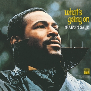 What's Going On - Marvin Gaye - LP - Brand New Vinyl (Arrives in 21 days)