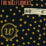 Bringing Down The Horse - Wallflowers - LP - Brand New Vinyl (Arrives in 21 days)