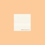 Loop-finding-jazz-records - Jan Jelinek - LP - Brand New Vinyl (Arrives in 21 days)
