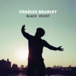 Black Velvet - Charles Bradley - LP - Brand New Vinyl (Arrives in 20days)