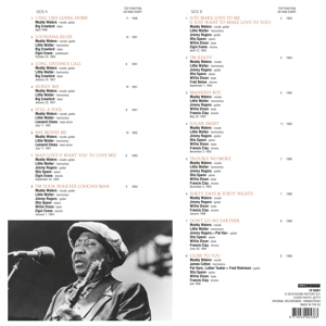 R &amp; B Hits - Muddy Waters - LP - Brand New Vinyl (Arrives in 20days)