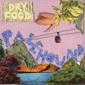 Dry Food - Palehound - LP - Brand New Vinyl (Arrives in 20days)