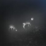 Bliss Signal - Mumdance... Bliss Signal - LP - Brand New Vinyl (Arrives in 20days)