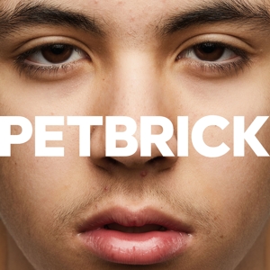 I - Petbrick - LP - Brand New Vinyl (Arrives in 20days)