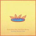 Everything Else Has Gone Wrong - Bombay Bicycle Club - LP - Brand New Vinyl (Arrives in 21 days)