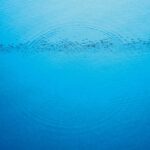 Suddenly - Caribou - LP - Brand New Vinyl (Arrives in 20days)