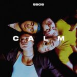 Calm - 5 Seconds Of Summer - LP - Brand New Vinyl (Arrives in 21 days)