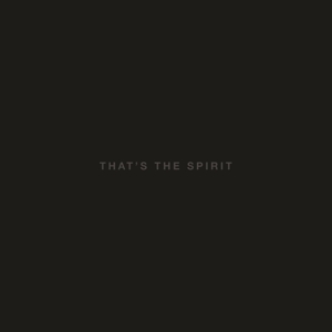 That's The Spirit - Bring Me The Horizon - LP - Brand New Vinyl (Arrives in 21 days)