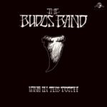 Long In The Tooth - Budos Band - LP - Brand New Vinyl (Arrives in 20days)