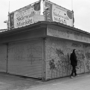 Weather Or Not - Evidence - LP - Brand New Vinyl (Arrives in 20days)