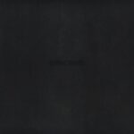 Dark Times - Vince Staples - LP - Brand New Vinyl (Arrives in 20days)