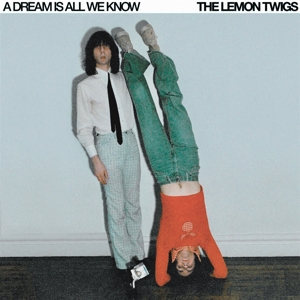 A Dream Is All We Know - Lemon Twigs - LP - Brand New Vinyl (Arrives in 20days)