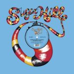 Rapper's Delight - Sugarhill Gang - LP - Brand New Vinyl (Arrives in 20days)