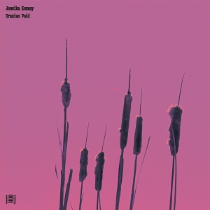 Uranian Void - Jessika Kenney - LP - Brand New Vinyl (Arrives in 20days)