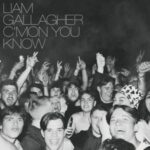 C Mon You Know - Liam Gallagher - LP - Brand New Vinyl (Arrives in 20days)