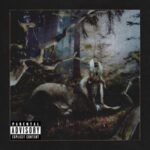 Feet Of Clay - Earl Sweatshirt - LP - Brand New Vinyl (Arrives in 20days)