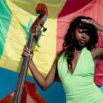 Babygoated - Amy Gadiaga - LP - Brand New Vinyl (Arrives in 20days)