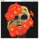 Rolling With The Punches - Di-rect - LP - Brand New Vinyl (Arrives in 20days)
