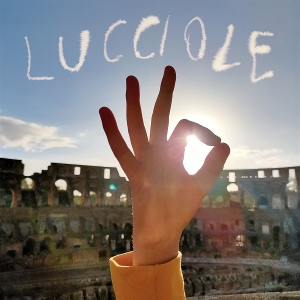 4G7166 2