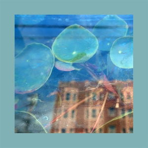 Acknowledge Kindness - Reds, Pinks & Purples - LP - Brand New Vinyl (Arrives in 20days)