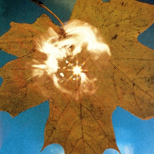 Force Of The Wind - Soyuz - LP - Brand New Vinyl (Arrives in 20days)