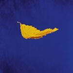 True Faith - New Order - LP - Brand New Vinyl (Arrives in 20days)