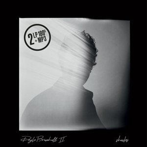 Shades - Doyle Bramhall Ii - LP - Brand New Vinyl (Arrives in 20days)