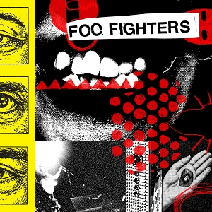 Your Favorite Toy - Foo Fighters - LP - Brand New Vinyl (Arrives in 20days)