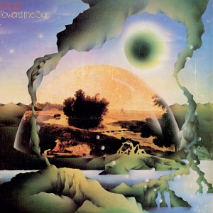 Toward The Sun - Druid - LP - Brand New Vinyl (Arrives in 20days)