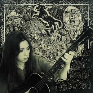 Last Night I Heard The Dog Star Bark - Gwenifer Raymond - LP - Brand New Vinyl (Arrives in 20days)