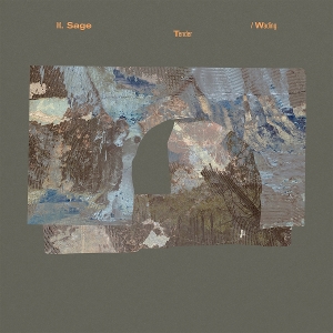 Tender / Wading - M. Sage - LP - Brand New Vinyl (Arrives in 20days)